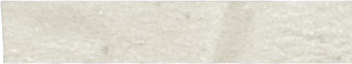 Subscribe Input Background